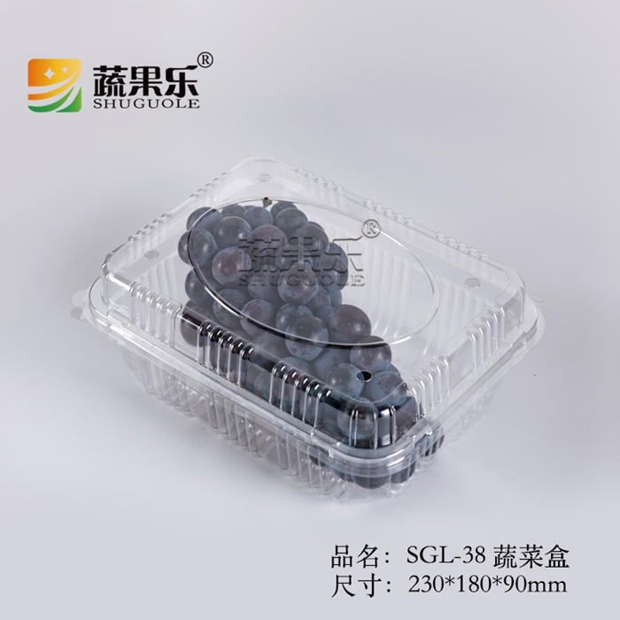 SGL-38