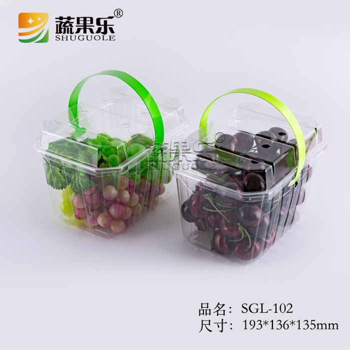 SGL-102B/T手提盒