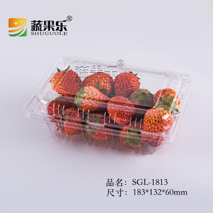 SGL-1813