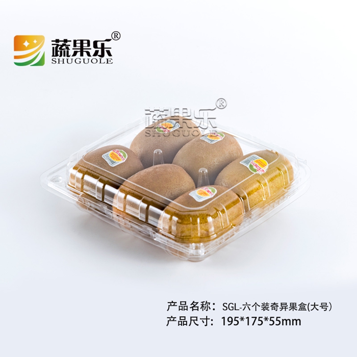 SGL-六个装加柱奇异果 大号