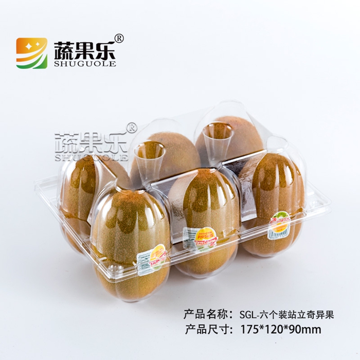 六个装加柱奇异果 站立