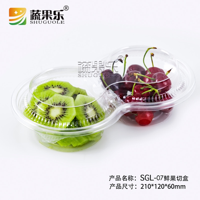 SGL-07B/07T
