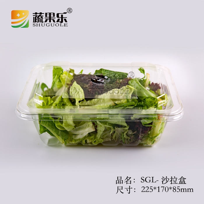 SGL-沙拉盒